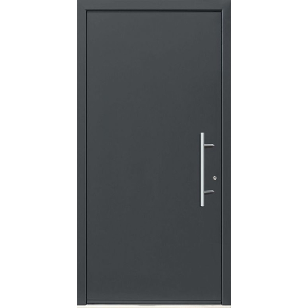 Ryterna Rd65 Design 100 Steel Front Entrance Doors