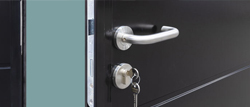 Stainless steel handles and security locking