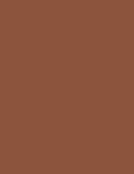 Clay Brown  RAL8003