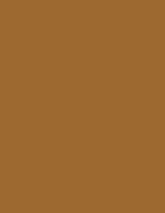 Ochre Brown  RAL8001